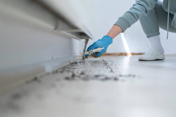 Best Wildlife Control Services  in Grant, NE